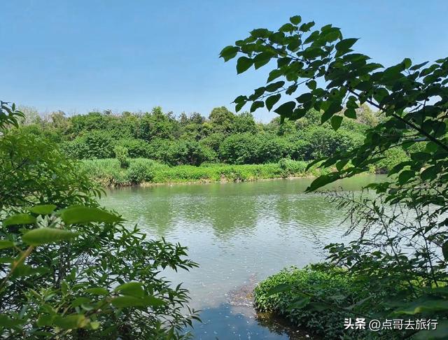 成都超级冷门公园，绿肺中的烟火成都，不要门票，1元公交直达！