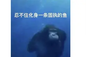 华为儿童手表，中年人逃不过的骚图片