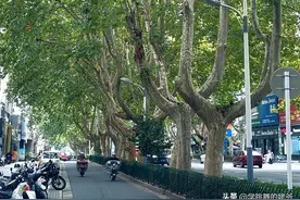 镇江，你才是我心目中的江南宜居家园图片