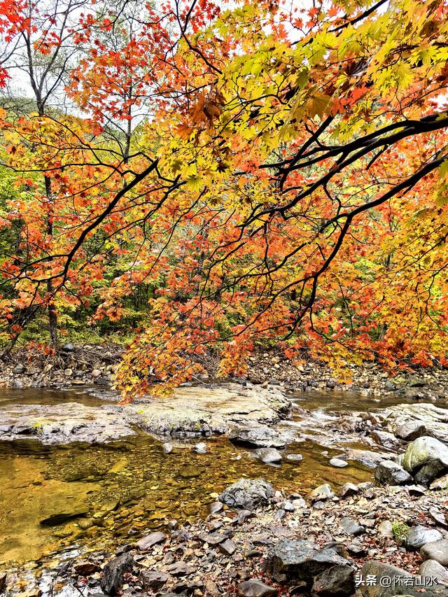 2025辽宁赏秋之旅日记(2)——游览丹东蒲石河森林公园