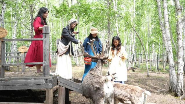 回顾“十四五”展望“十五五”系列报道之三 额尔古纳：以“文”塑旅 绘就全域新画卷