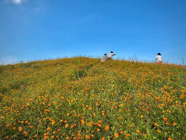 碧云花园，藏着江南阿勒泰！