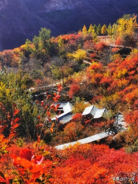 Deepseek和百度AI共同推荐北京红叶区：到北京旅游至少要去三个。