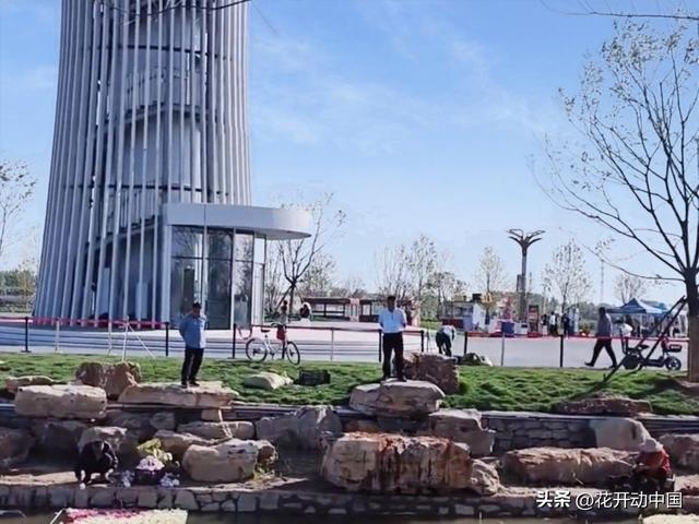 菏泽冠宇牡丹园：从“小种植园”到“大产业圈”的3A巨变