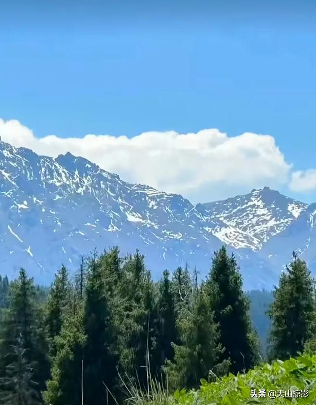 南山南