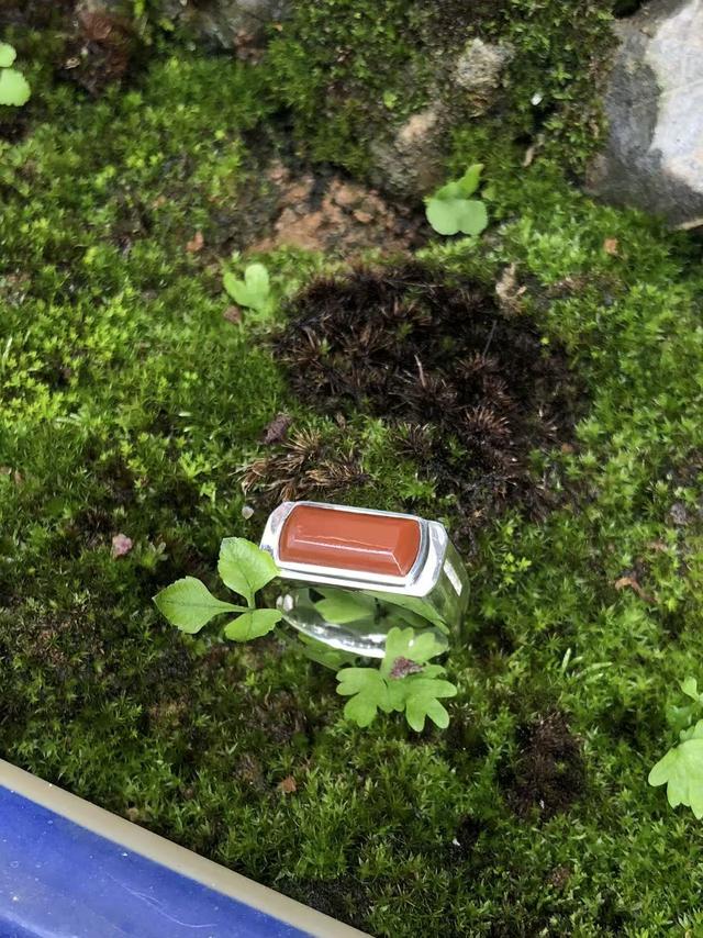 保山南红玛瑙的消费层级（收藏级，中端消费，低端消费