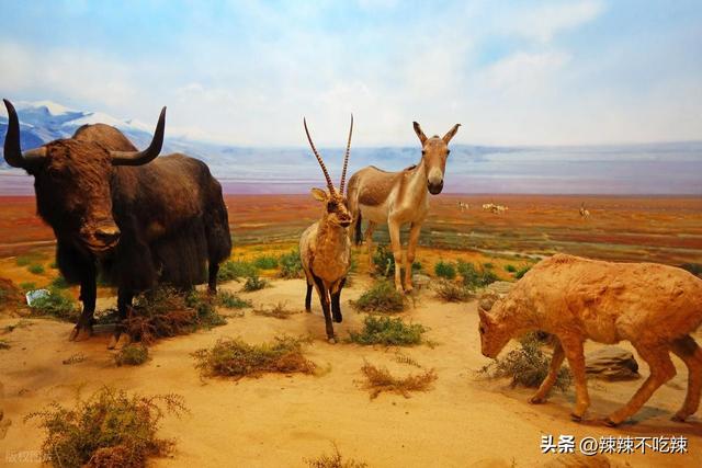 杭州宝藏博物馆集锦！一眼千年的那种，你去过几个？