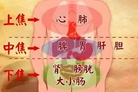 《黄帝内经》：头皮疼痛、脱发，是三焦不通。图片