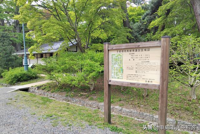 日本京都：漫步京都御苑公园