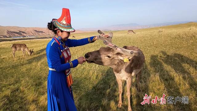 甘肃秋天在哪最美？我投公路一票！