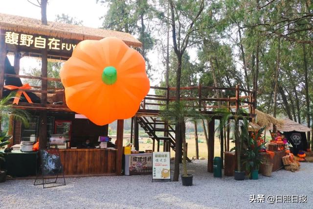 全球榜！中国榜！日照入选