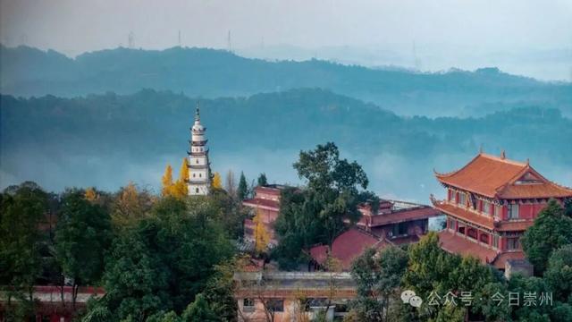 速来→崇州正上演初冬金色浪漫大片！