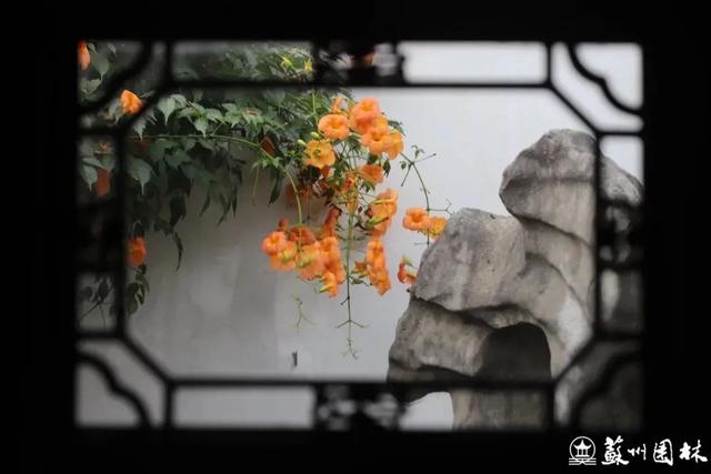 快收藏！苏州园林八月打卡指南！