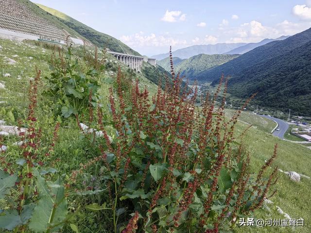 老鸦关避暑
