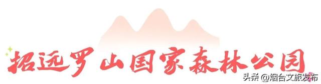 【乐游烟台】被问爆的的烟台登山好地！后悔没早来！
