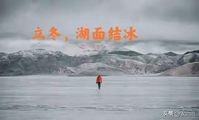 “上午立冬冻死牛，下午立冬暖烘烘”，今年立冬几点？有啥说法？