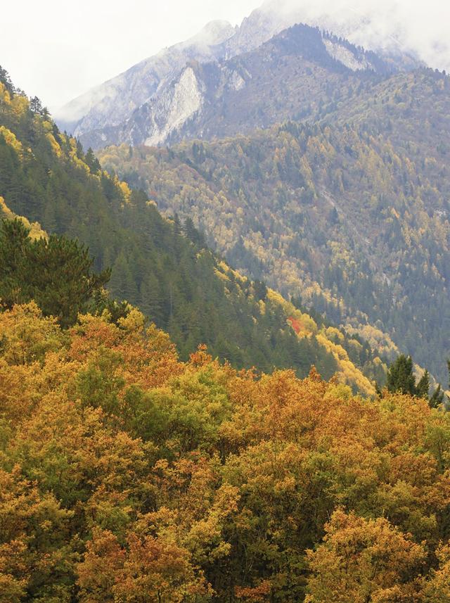 九寨沟的颜值巅峰：层林尽染、海子映彩
