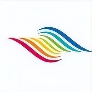 全国新航空公司logo，你觉得哪个更好？