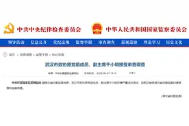 中纪委官网刚刚通报，干小明接受审查调查图片