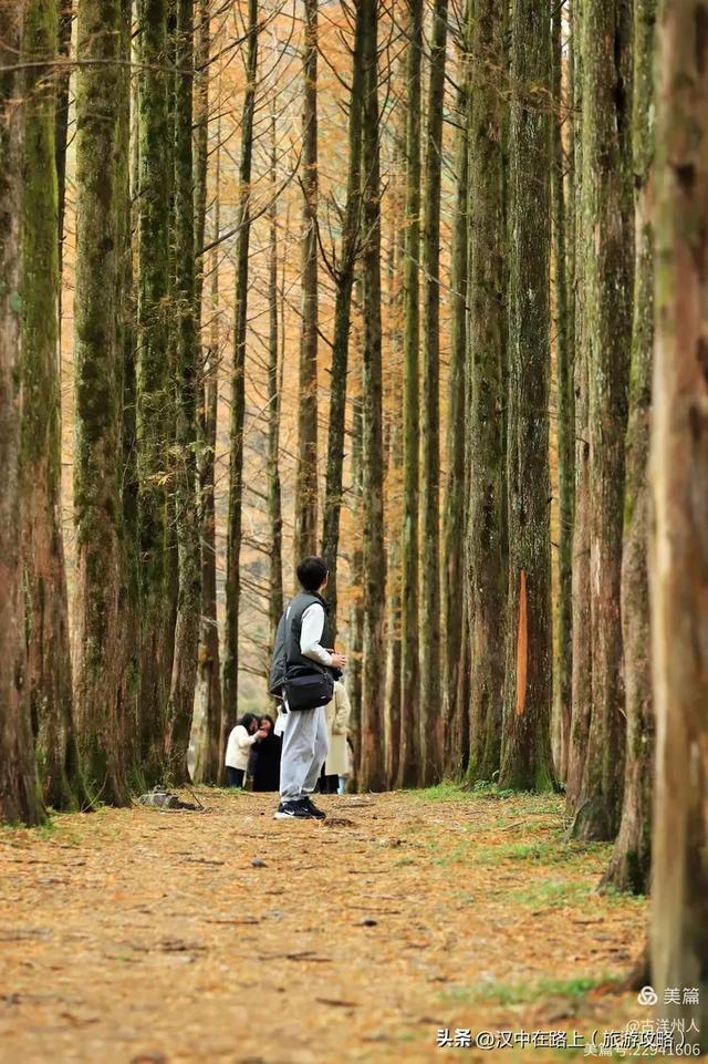 龙池秋色惹人醉