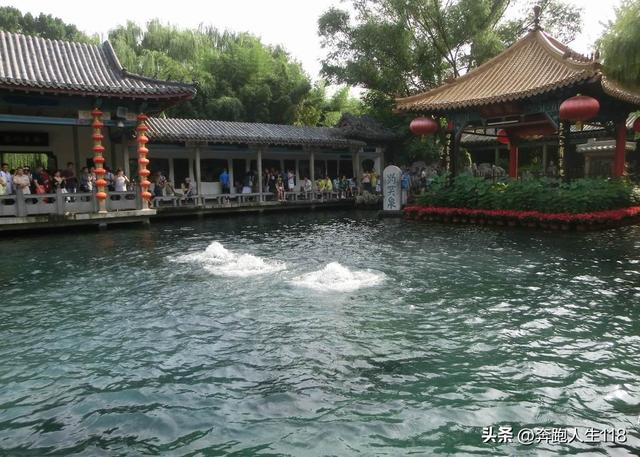 夏日炎炎，泉城戏水，不辞长作济南人