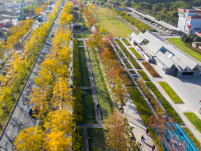 探徐汇｜全线“地铁”自助！5天游上海，徐汇玩“出圈”