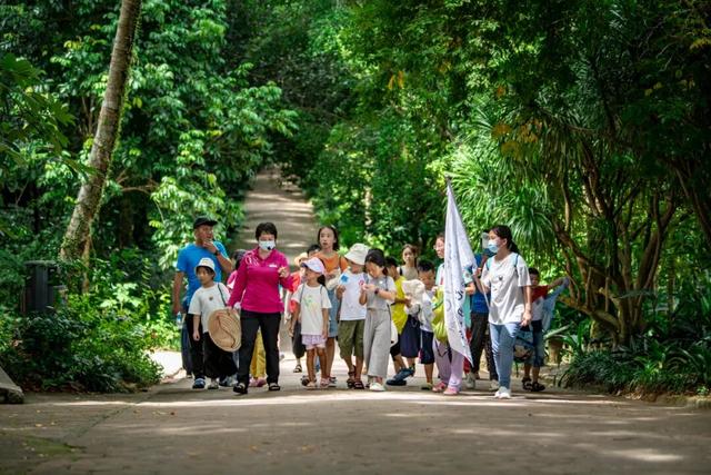 浪尖、海岸与咖啡香：解锁万宁的冬日浪漫