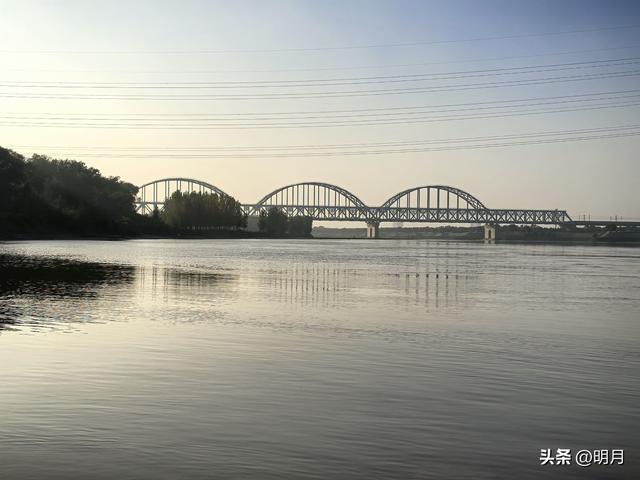 分享你最快捷去黄河千亩银杏林的路线