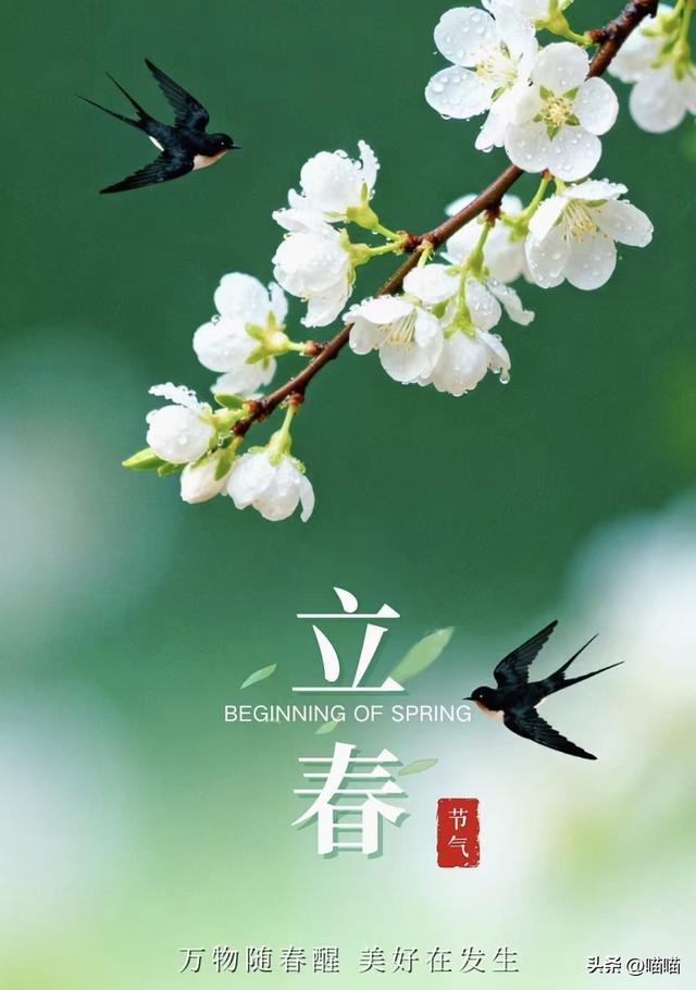 “上午立春无雪过年；下午立春春节冷哭”，2026立春到底在几点？