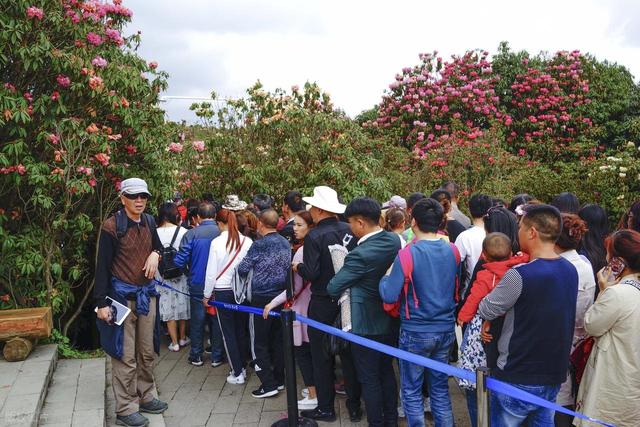 2025上半年旅游报告出炉，32亿人次出游，最大黑马竟是他们？