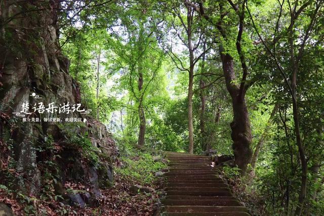 浙江余姚的小众古村，藏在山岙如世外桃源，清溪瀑布成为玩水胜地