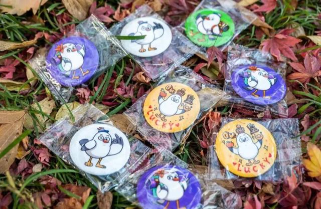 “鸥遇！鸥遇！”海鸥季潍坊启航派对，优惠惊喜等你来逛~