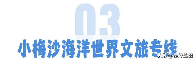 梅沙中英街旅游专线开通！还有这些专线带你轻松畅玩“双节”！