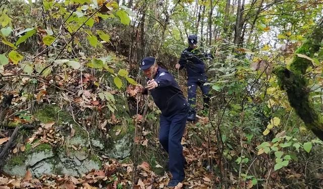 监守自盗! 2024年, 湖北一护林员在山里架980米电网, 冰柜中搜出肢体