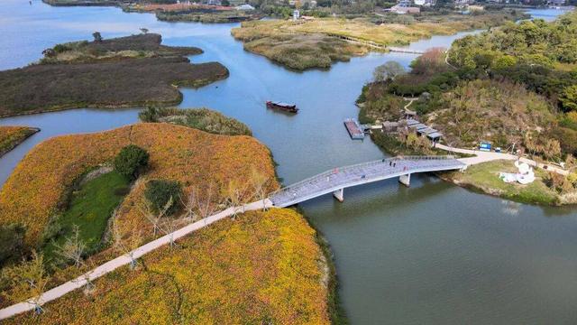 德清下渚湖｜湿地公园与奇幻谷度假指南