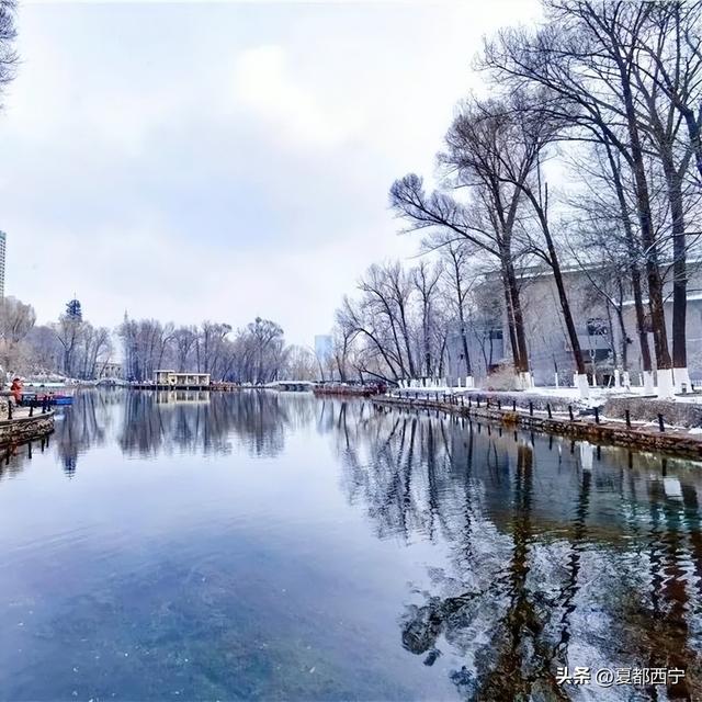 西宁的冬春，藏不住了！