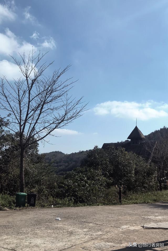 徒步奉化大雷山，古村、古道、梯田、秋景全部包揽