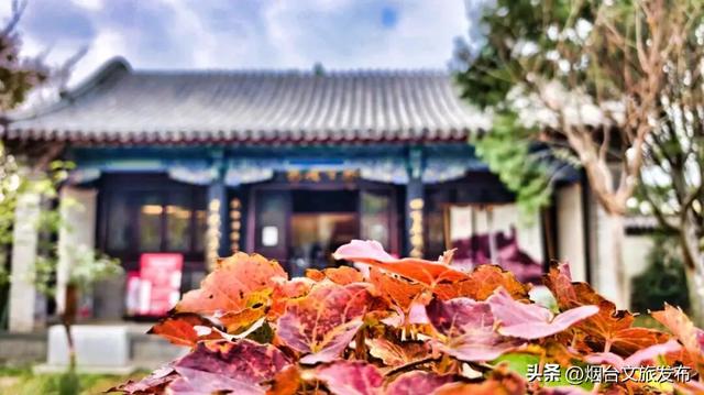 【乐游烟台】此刻的烟台蓬莱阁景区，真的太美啦！