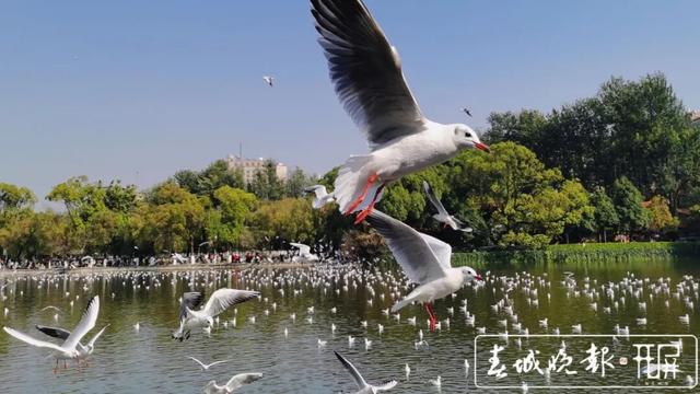 鸥！来了！“鸥”遇线路提前收藏→