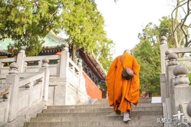 争议之外，来认识一个你可能不了解的少林寺