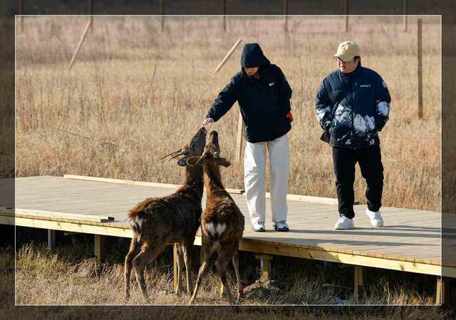 大河村国家考古遗址公园明日开园 提前探访！沉浸式历史展示 让史前文明“可触可感”