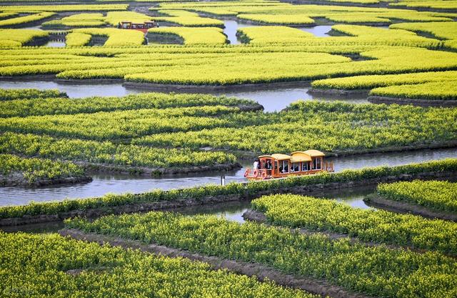 3-5月赏花季，9个优质赏花目的地，应季花海正鲜艳