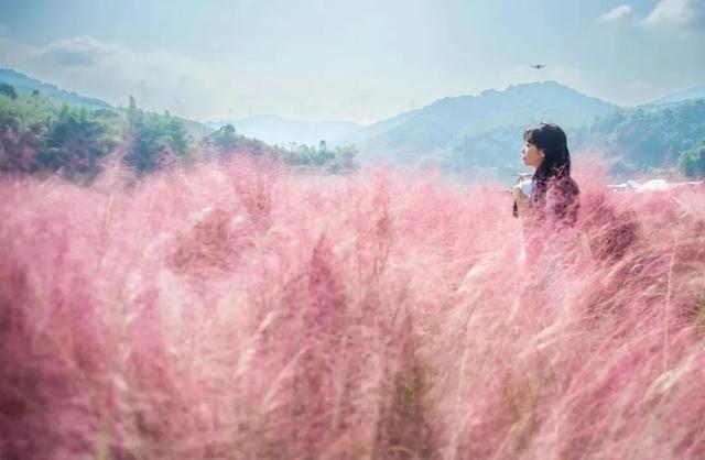 秋日限定！速来围观肇庆的绝美风光~