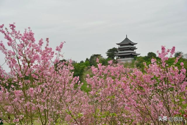 【跟着旅徒游广西】之四十：南宁｜青秀山公园