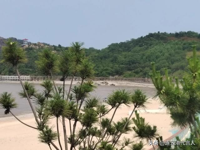 江苏醉美基岩海岸旅游开发收尾工程，北固山滨海森林步道日渐成型