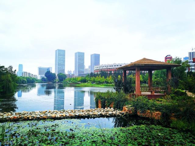 青岛和大连，哪座城市更宜居？