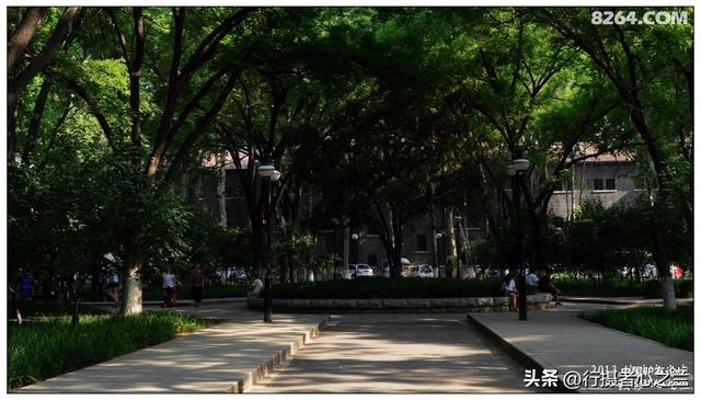 山东行游影记（15）—济南山东大学（二）