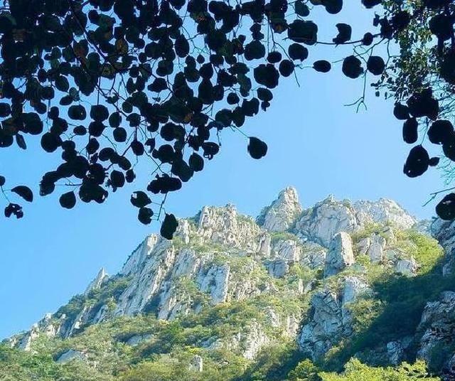 江苏没想到，山东也没想到，如今的中国河南，已成为全国焦点