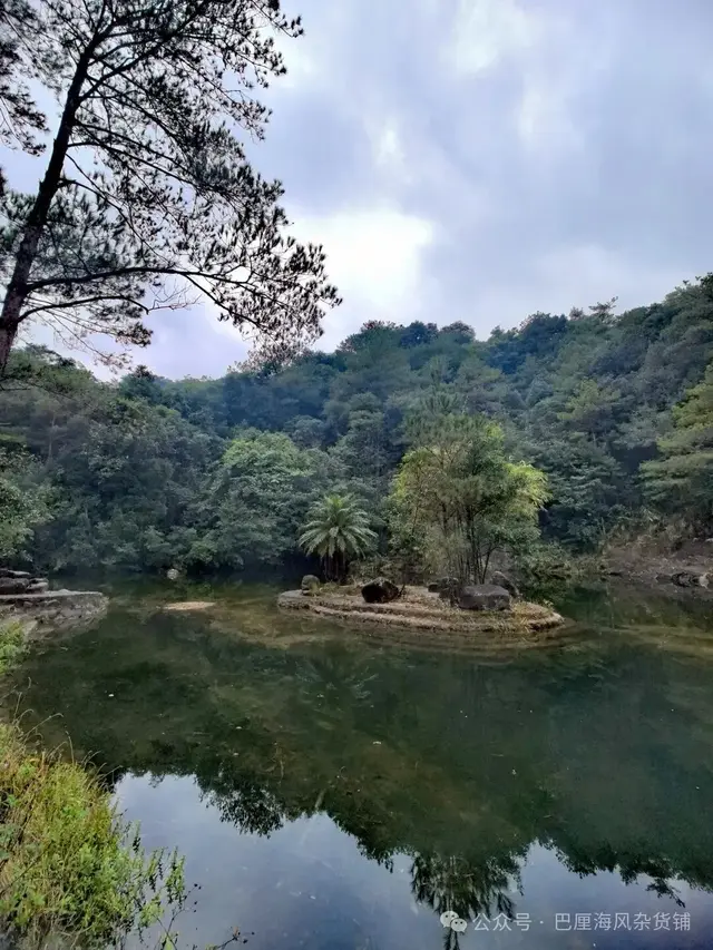 直下高原去海南（2）令人失望的十万大山国家森林公园