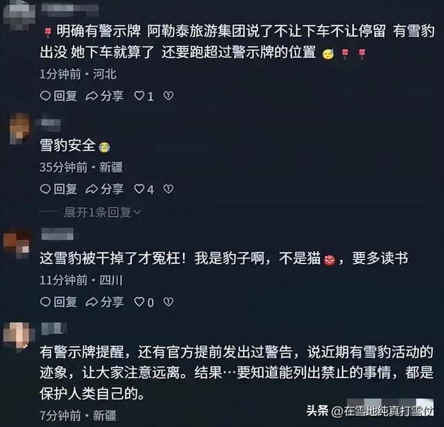 可可托海雪豹咬人后续！“活该”？三次警告当耳旁风，被咬不冤
